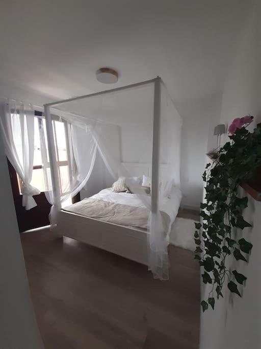 Casa Completa Loredo Beach Kültér fotó